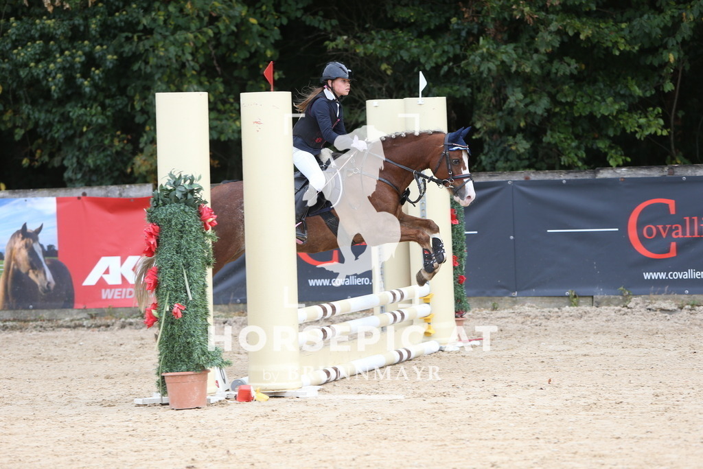 DL2Q2525 | Willkommen bei Brunnmayr - Design & Fotografie – Ihrem Spezialisten für Reitturniere und Pferdeveranstaltungen in Oberösterreich, Salzburg und Bayern! Seit über 17 Jahren sind wir leidenschaftlich dabei.