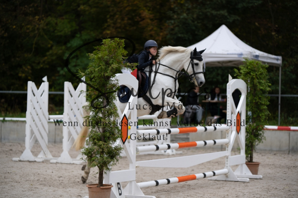 A7V09972 | Turnier/Reitfotograf