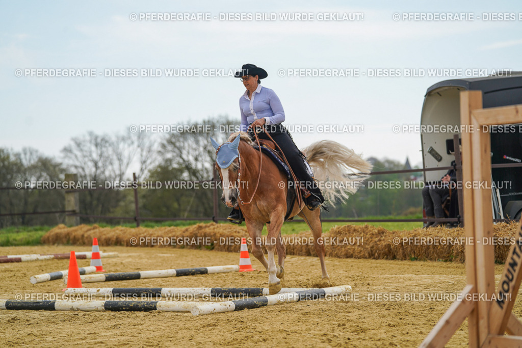 DSC02477 | Pferdegrafie