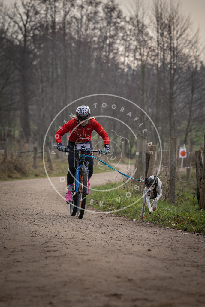 Pfotenfotografie_DV3A1462 | Hundefotografie, Tierfotograf, Pfotenfotografie, Fotoshooting Hund, Hunde Portrait, Hundesport, Hundeportraits, Heideshooting, Hunde, Sportfotograf, Hundefotograf, Turnierhundsport, THS,  - Realisiert mit Pictrs.com