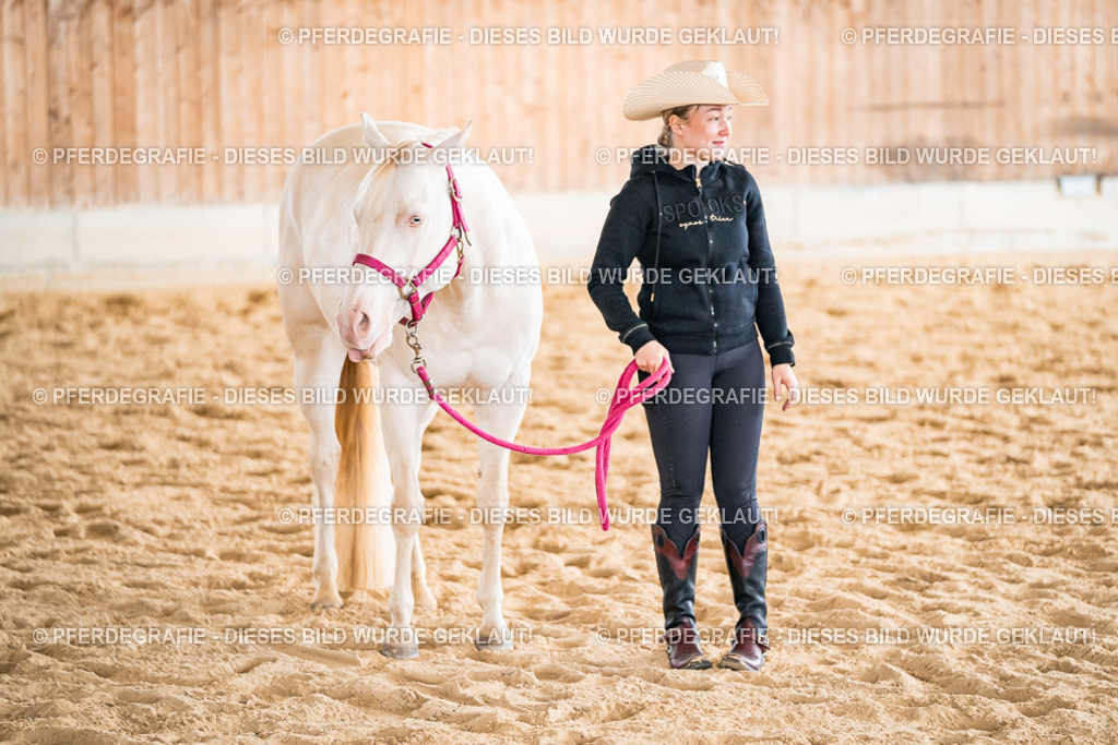 DSC01150 | Pferdegrafie