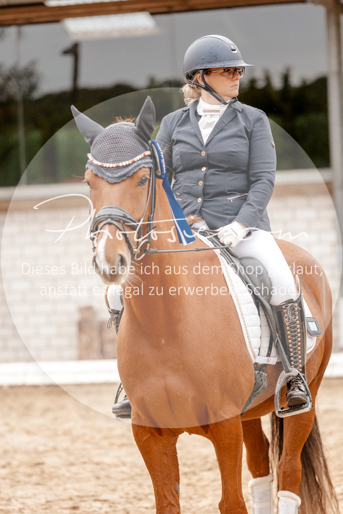 3I6A6020 | Stimmungsvolle Portraits und Reitsportfotografie im Ruhrgebiet und im Münsterland.

Pferdefotografie, Hundefotografie, Tierfotografie, Reportagen, Portraits von Tier und Mensch, Turnierfotografie in Bochum, Recklinghausen, Marl, Haltern am See, Dülmen.. - Realisiert mit Pictrs.com