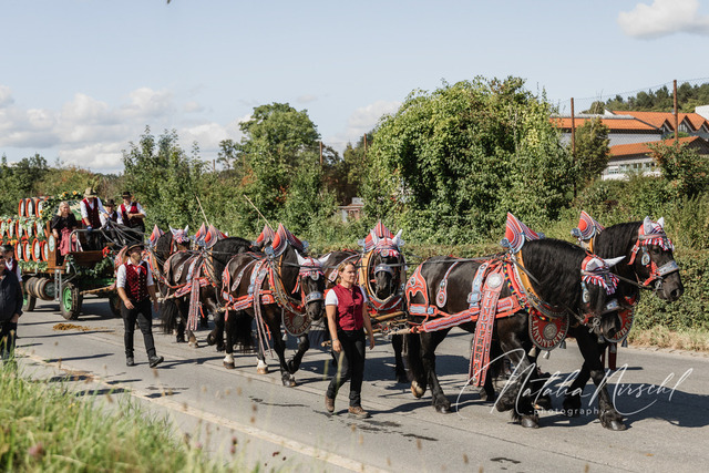 7V6A3006 | natalia-nirschl-photography