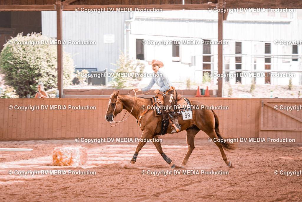 NE300271 | dv-media-shop - Realisiert mit Pictrs.com