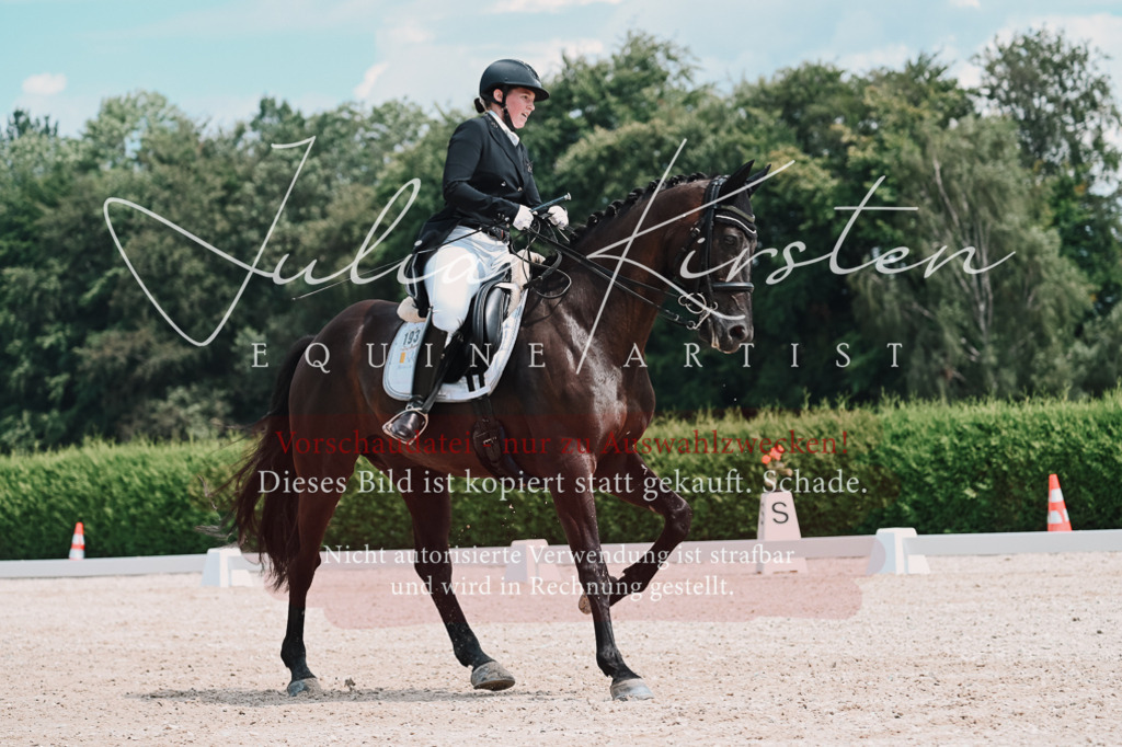 DSC_4270 | Pferde- und Turnierfotografie in Westsachsen. Pferdeportraits, Auftragszeichnungen und intuitive Kunst.