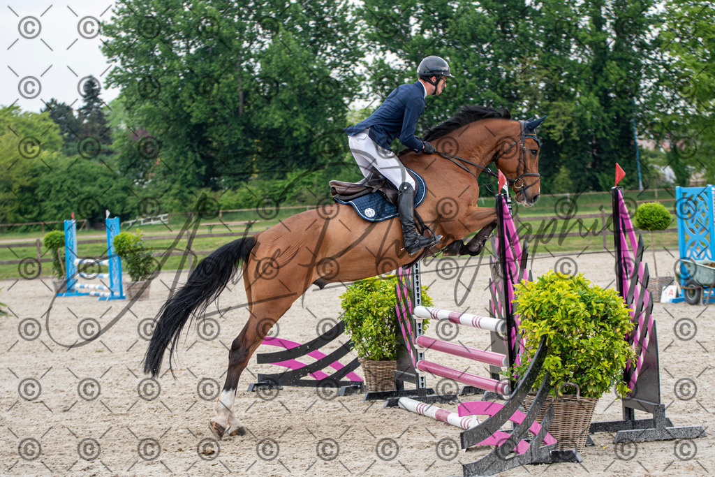 KPT_2220 | andre_photographic