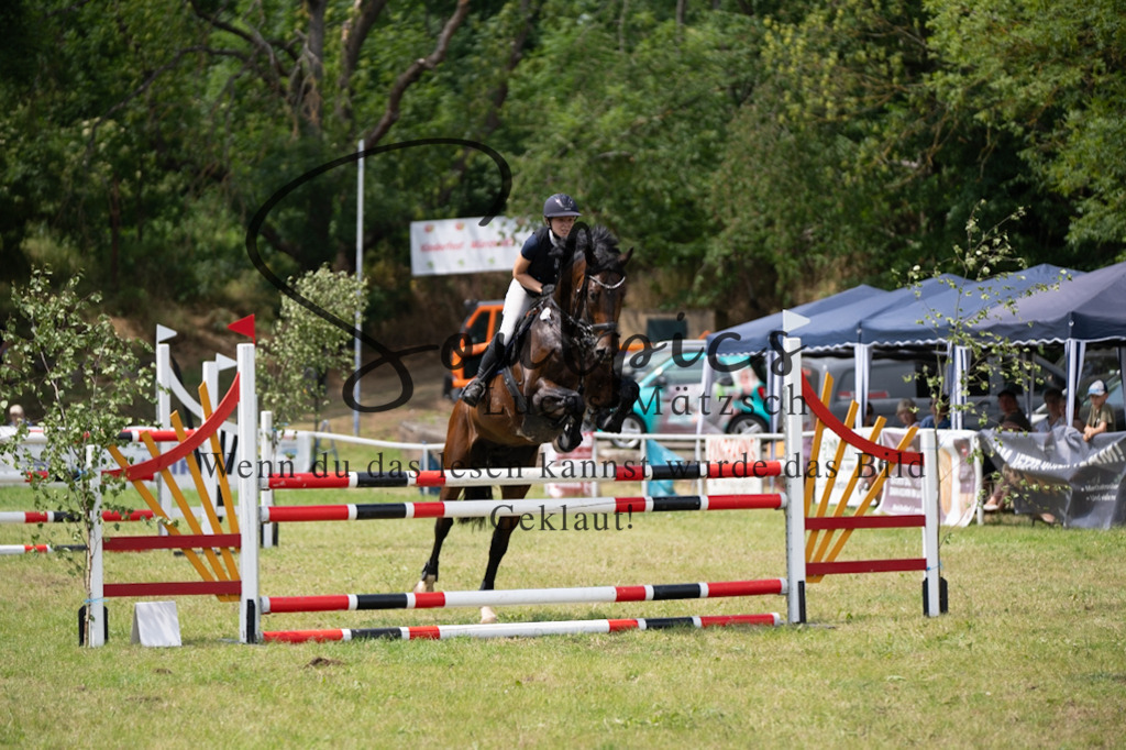 A7V07269 | Pferdefotograf