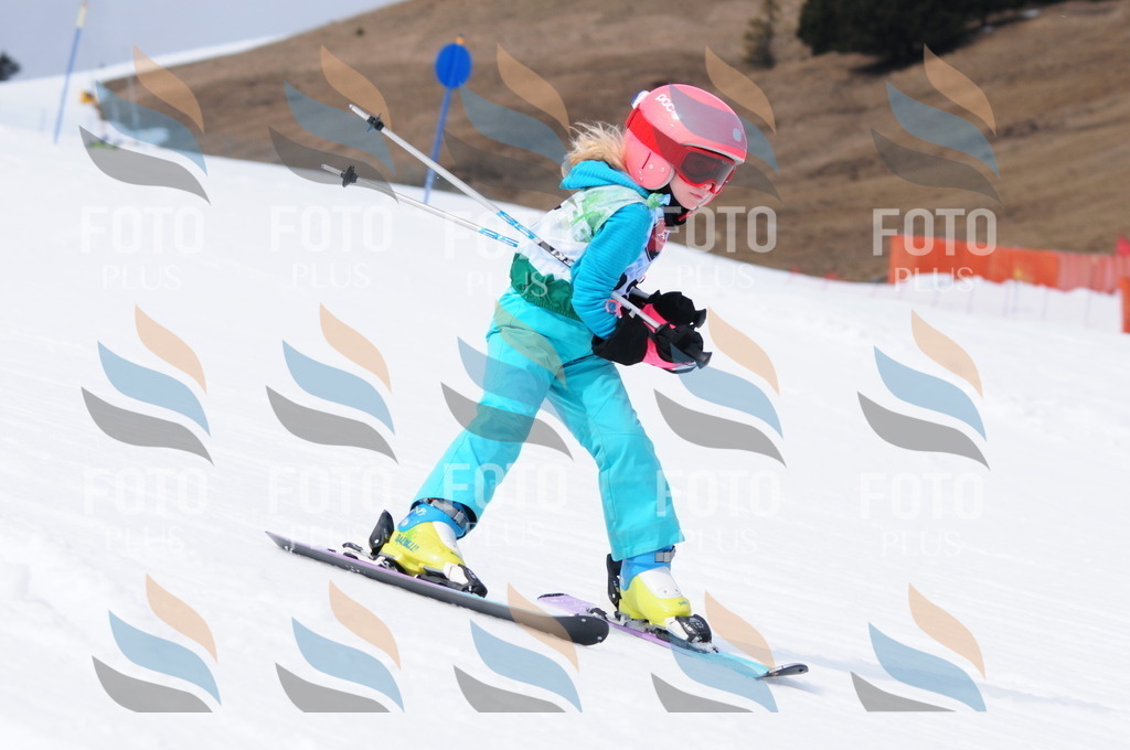 A3775 | holidayphoto