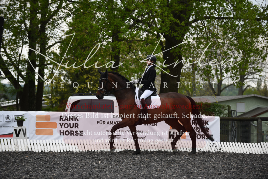 20230513_JK-Röhrsdorf-16-046 | Pferde- und Turnierfotografie in Westsachsen. Pferdeportraits, Auftragszeichnungen und intuitive Kunst.
