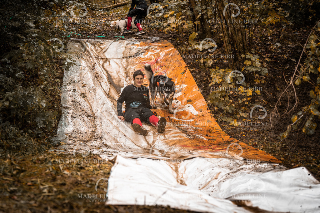 madeleinebirr-fotografie2025.campcanis.sa.15-16Uhr-74 | hundefotografie-birr