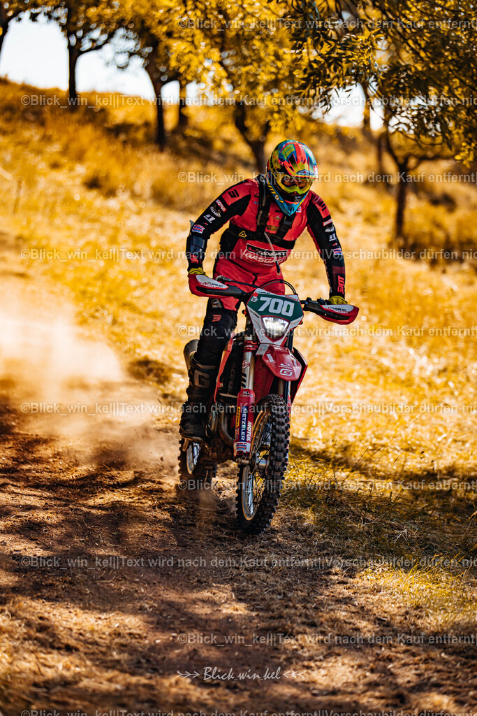 E68A5715 | blick_win_kel