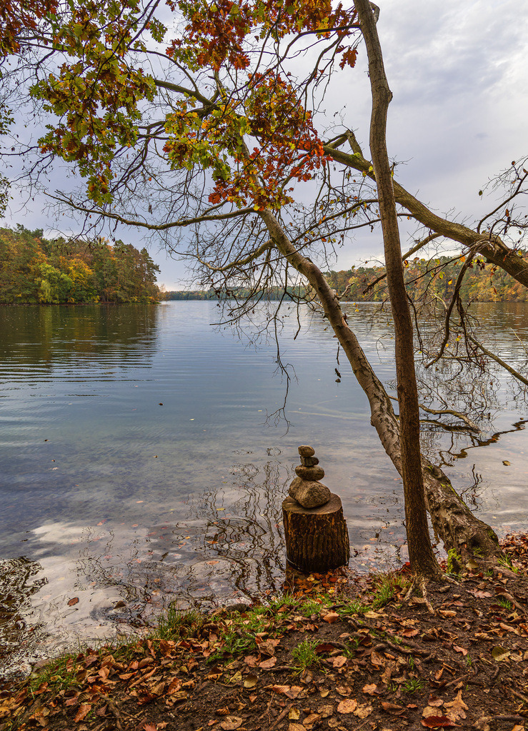 Blick über den See Schmaler Luzin auf die herbstliche Feldberger Seenlandschaft | Blick über den See Schmaler Luzin auf die herbstliche Feldberger Seenlandschaft.