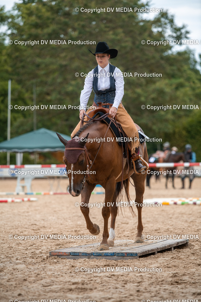 ZS2_8125 | dv-media-shop - Realisiert mit Pictrs.com