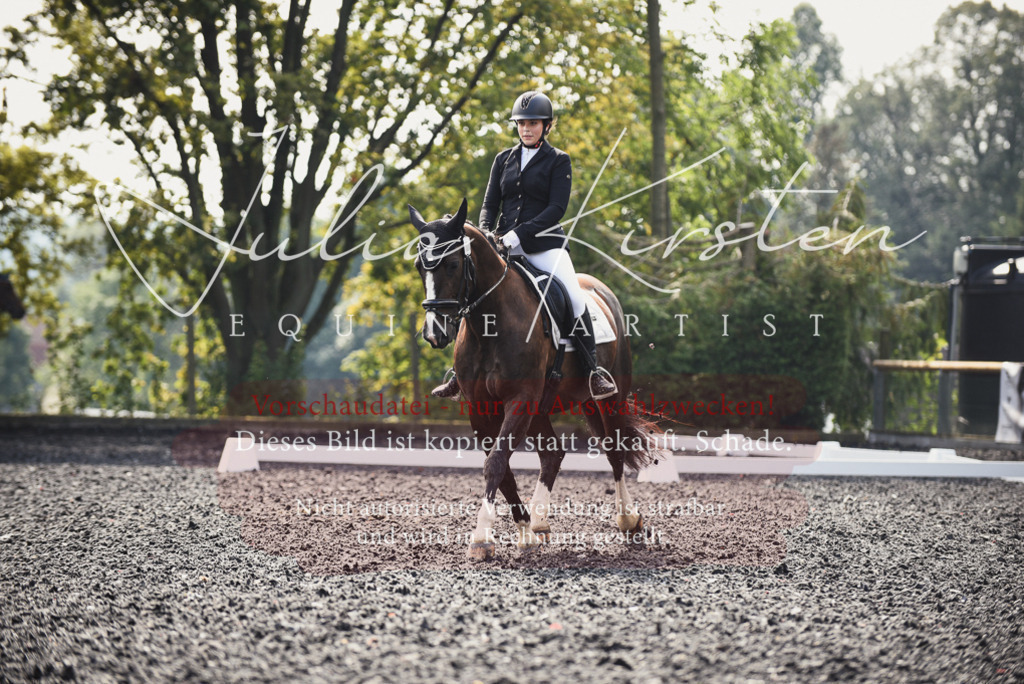 DSC_3636 | Pferde- und Turnierfotografie in Westsachsen. Pferdeportraits, Auftragszeichnungen und intuitive Kunst.