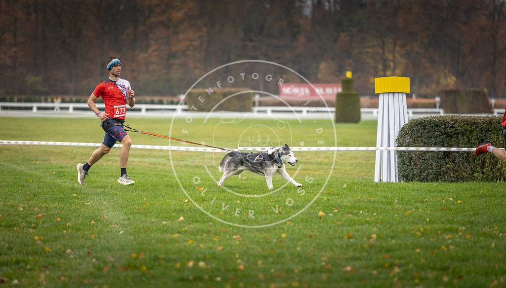 CaniXpix_DV3A9524 | Hundefotografie, Tierfotograf, Pfotenfotografie, Fotoshooting Hund, Hunde Portrait, Hundesport, Hundeportraits, Heideshooting, Hunde, Sportfotograf, Hundefotograf, Turnierhundsport, THS,  - Realisiert mit Pictrs.com