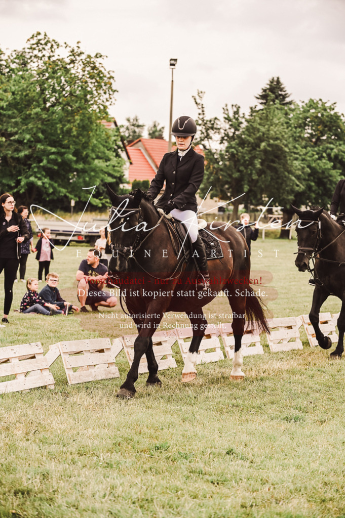 DSC_5112 | Pferde- und Turnierfotografie in Westsachsen. Pferdeportraits, Auftragszeichnungen und intuitive Kunst.