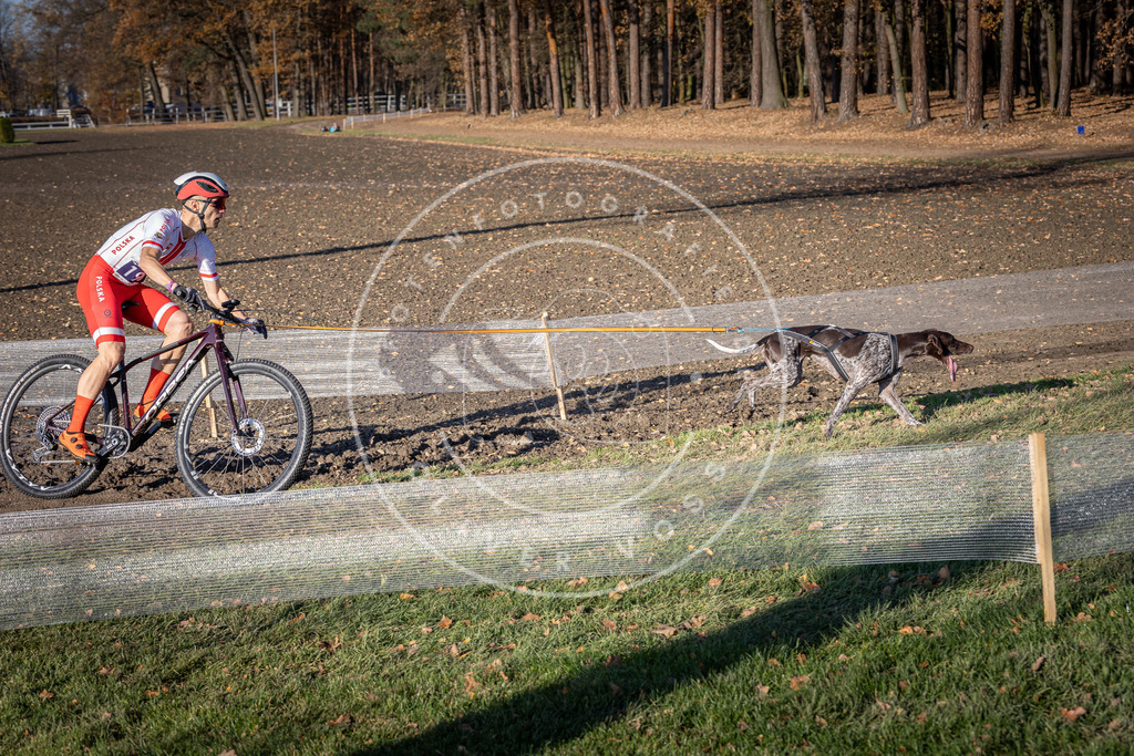 CaniXpix_DV3A2437 | Hundefotografie, Tierfotograf, Pfotenfotografie, Fotoshooting Hund, Hunde Portrait, Hundesport, Hundeportraits, Heideshooting, Hunde, Sportfotograf, Hundefotograf, Turnierhundsport, THS,  - Realisiert mit Pictrs.com