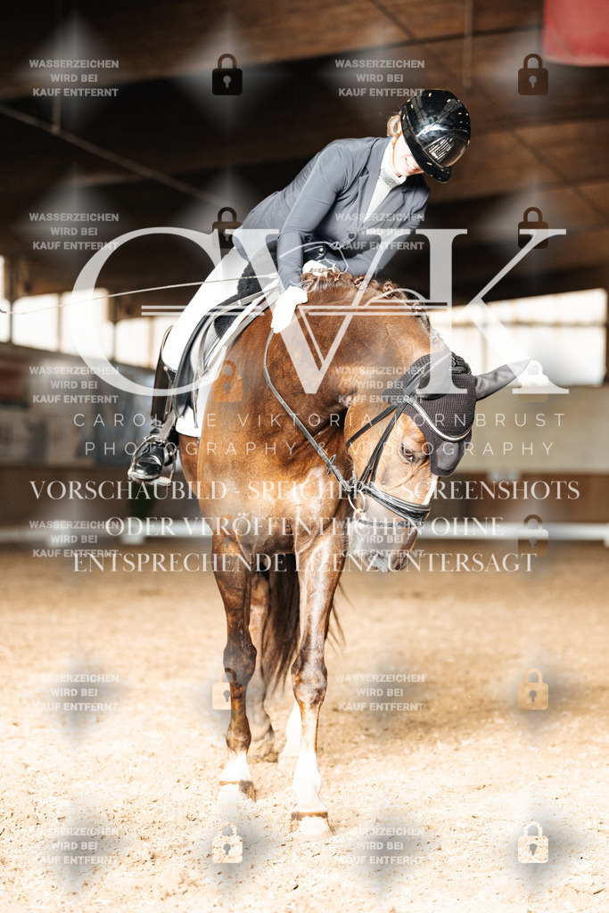 CK902770 | Turnierfotografie Pferdefotografie Trier Rheinland-Pfalz Pferdesport Reitsport Tierfotografie Sportfotografie Pferdevideo Pferdevideografie Equestrianvideography equestrianphotography  - Realisiert mit Pictrs.com