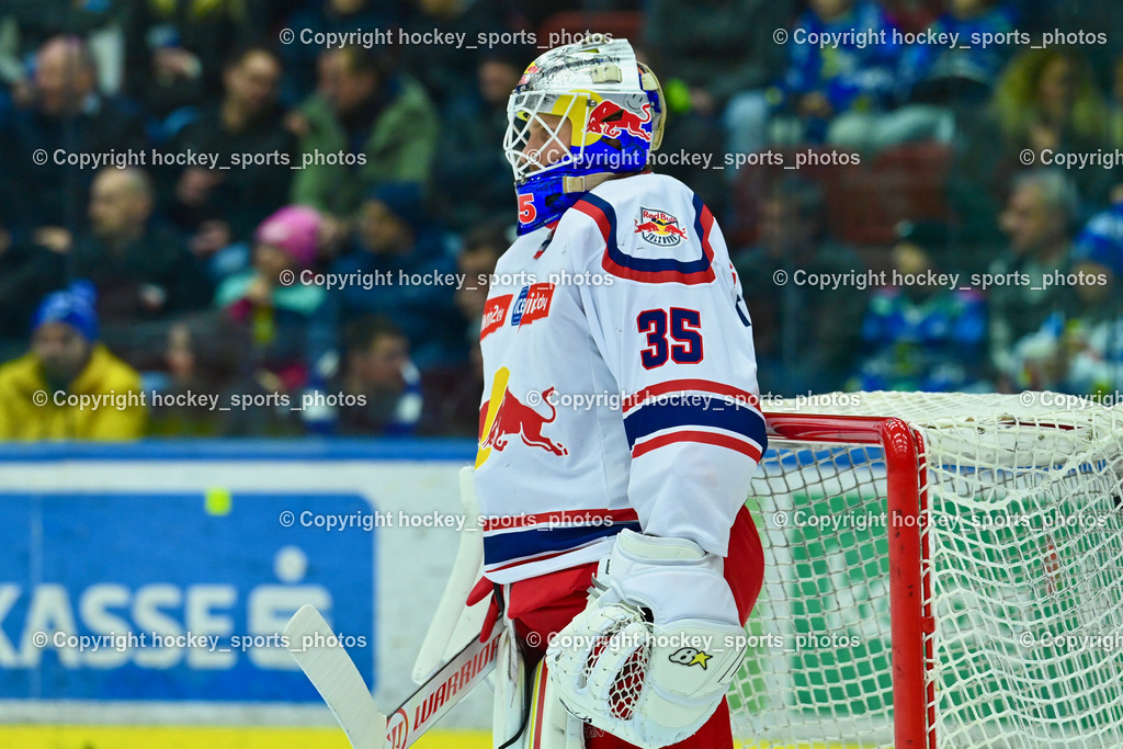 EC IDM WÄRMEPUMPEN VSV vs. EC Red Bull Salzburg | #35 TOLVANEN ATTE EC Redbull Salzburg, EC IDM WÄRMEPUMPEN VSV vs. EC Red Bull Salzburg, EC IDM WÄRMEPUMPEN VSV vs. EC Red Bull Salzburg am 17.01.2025 in Villach (Stadthalle Villach), Austria, (Photo by Bernd Stefan)