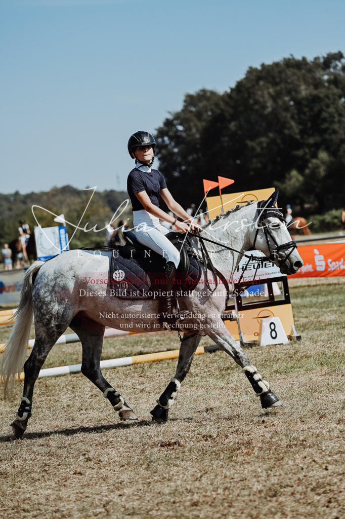DSC_0040 | Pferde- und Turnierfotografie in Westsachsen. Pferdeportraits, Auftragszeichnungen und intuitive Kunst.