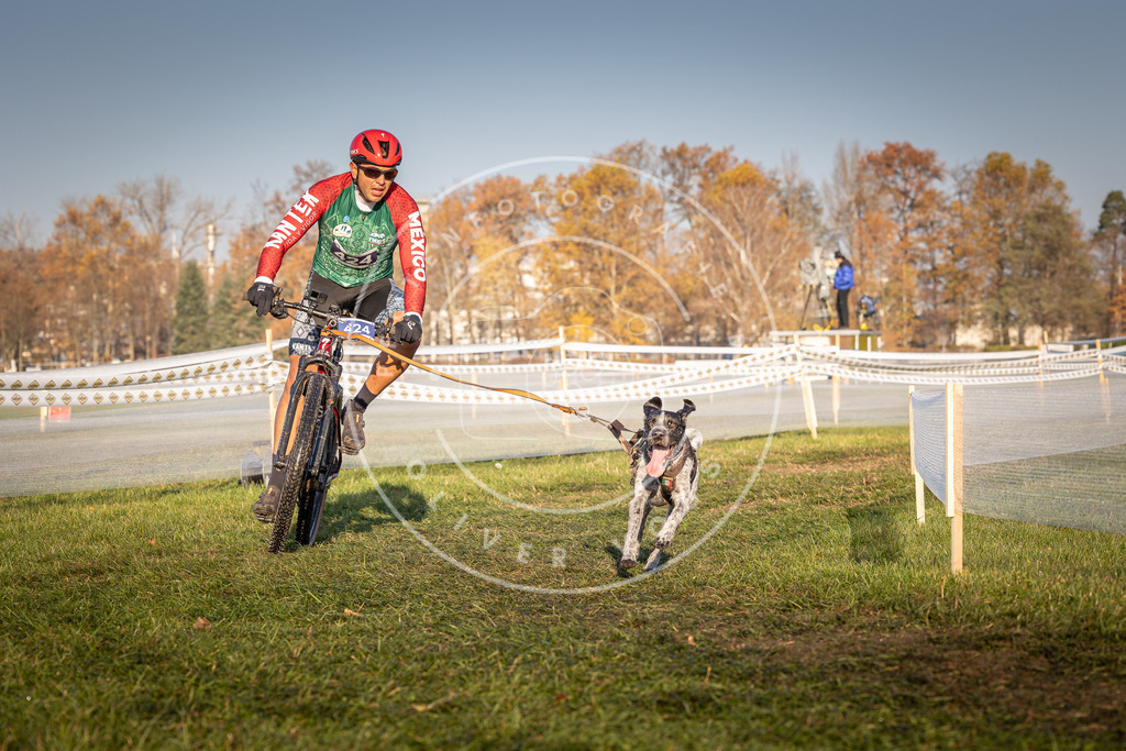 CaniXpix_0L8A4200 | Hundefotografie, Tierfotograf, Pfotenfotografie, Fotoshooting Hund, Hunde Portrait, Hundesport, Hundeportraits, Heideshooting, Hunde, Sportfotograf, Hundefotograf, Turnierhundsport, THS,  - Realisiert mit Pictrs.com
