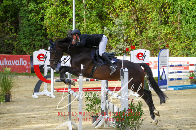 DKP42502 | Turniersportfotografie; Pferdefotografie; Dressurfotografie