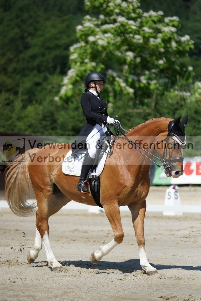 DSC03123 | equestrian-live-com