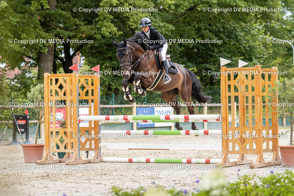 Hessische Tag 1-004 | dv-media-shop - Realisiert mit Pictrs.com