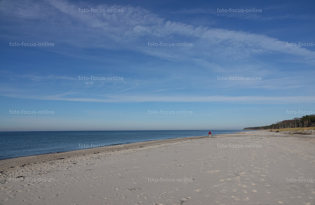 North Beach autumn, Darß | foto-focus-online