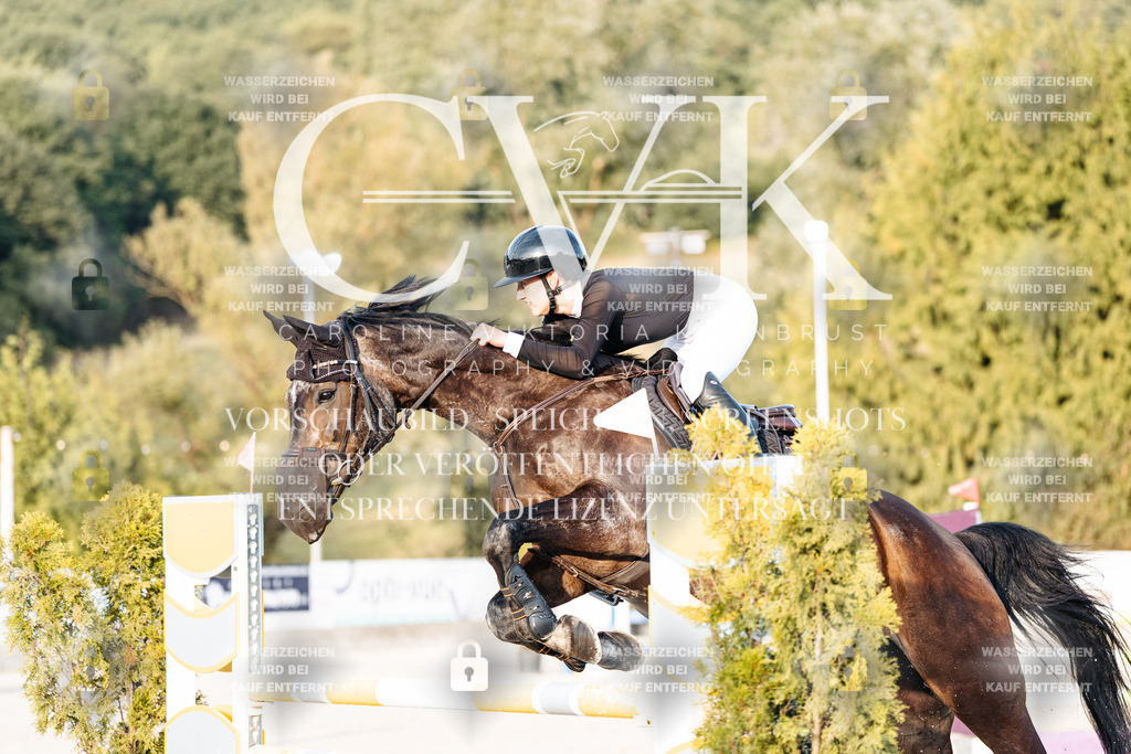 CK900929 | Turnierfotografie Pferdefotografie Trier Rheinland-Pfalz Pferdesport Reitsport Tierfotografie Sportfotografie Pferdevideo Pferdevideografie Equestrianvideography equestrianphotography  - Realisiert mit Pictrs.com