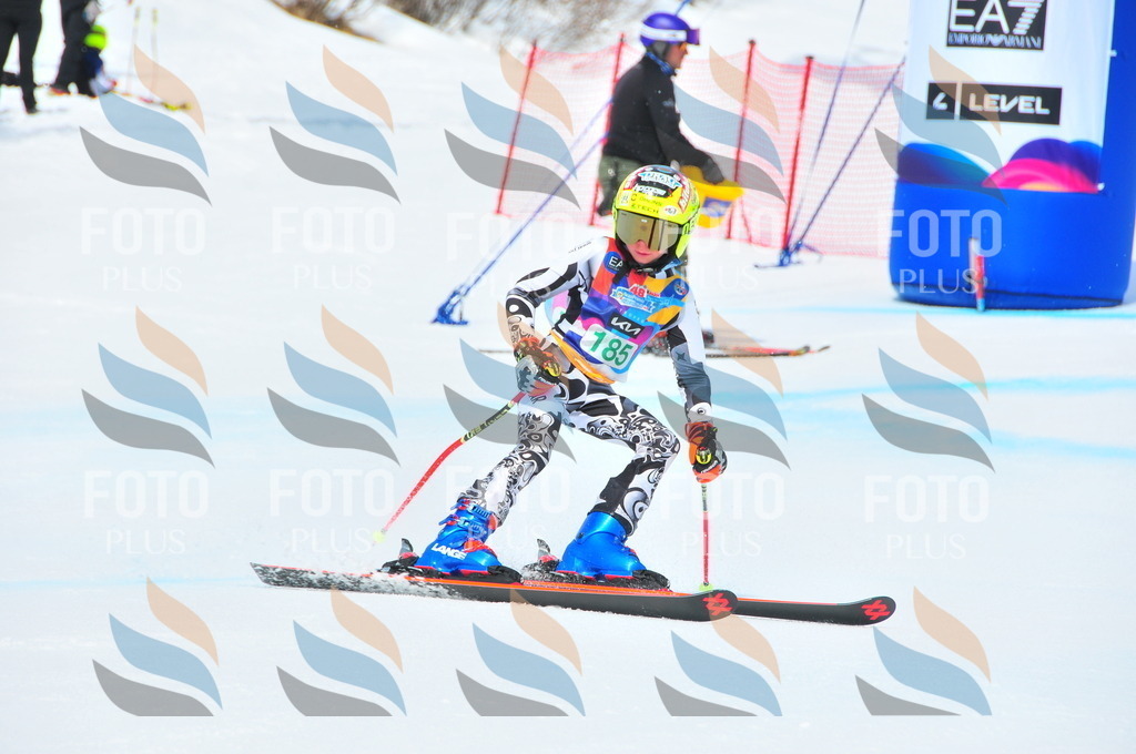 DSC_1690 | holidayphoto