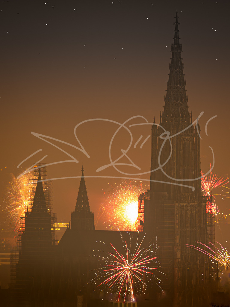 NEWYEEAR25 2 | Naturschönheiten aus Deutschland. Pflanzen und Tiere, Insekten und Naturschauspiele. Alle schönen Details, die uns umgeben, fotografiert von Michi Moc.  - Realisiert mit Pictrs.com