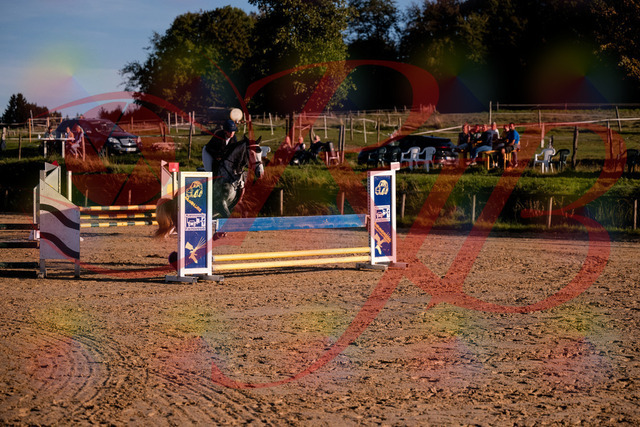 2026_10_03_Siefer-Hof_171433_Z81_11938332 | Professionelle Reitsport-, Turnier- und Eventfotografie von Robert Broda. Galerien mit ausgewählten und bearbeiteten Bildern direkt online ansehen und bestellen.