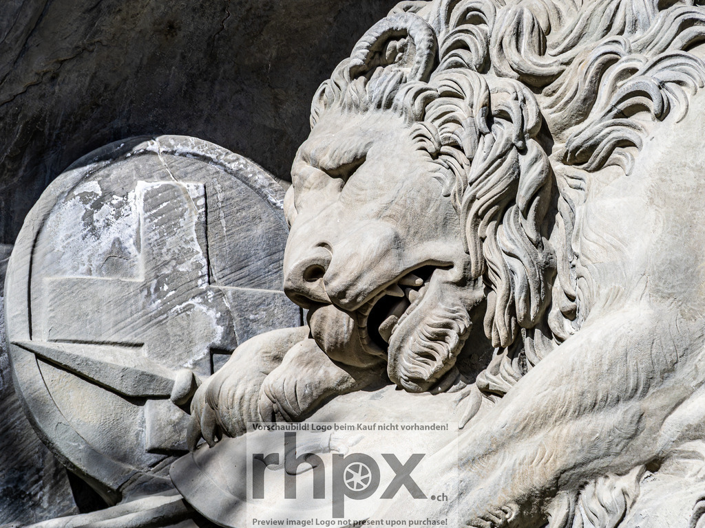 Löwendenkmal Luzern – Detailaufnahme | Detailaufnahme des berühmten Löwendenkmals in Luzern. - Realisiert mit Pictrs.com