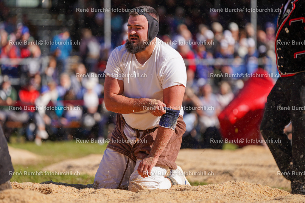 DSC09248 | René Burch leidenschaftlicher Fotograf aus Kerns in Obwalden.  Hier finden sie Sport, Landschaft und Natur Fotografie.
 - Realisiert mit Pictrs.com