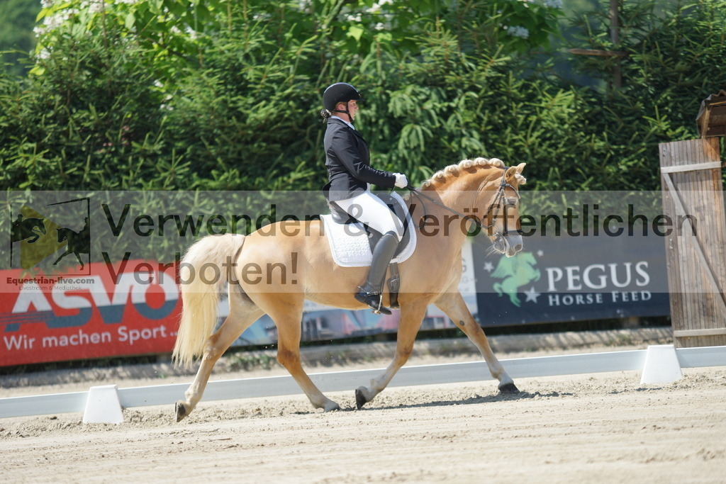 DSC02223 | equestrian-live-com