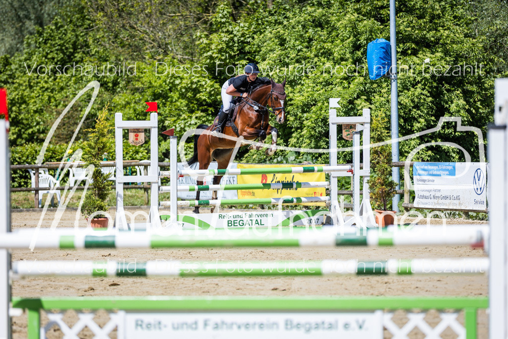 Donop24-Stil-L-024 | MomenTaufnahmen Pferdesportfotos