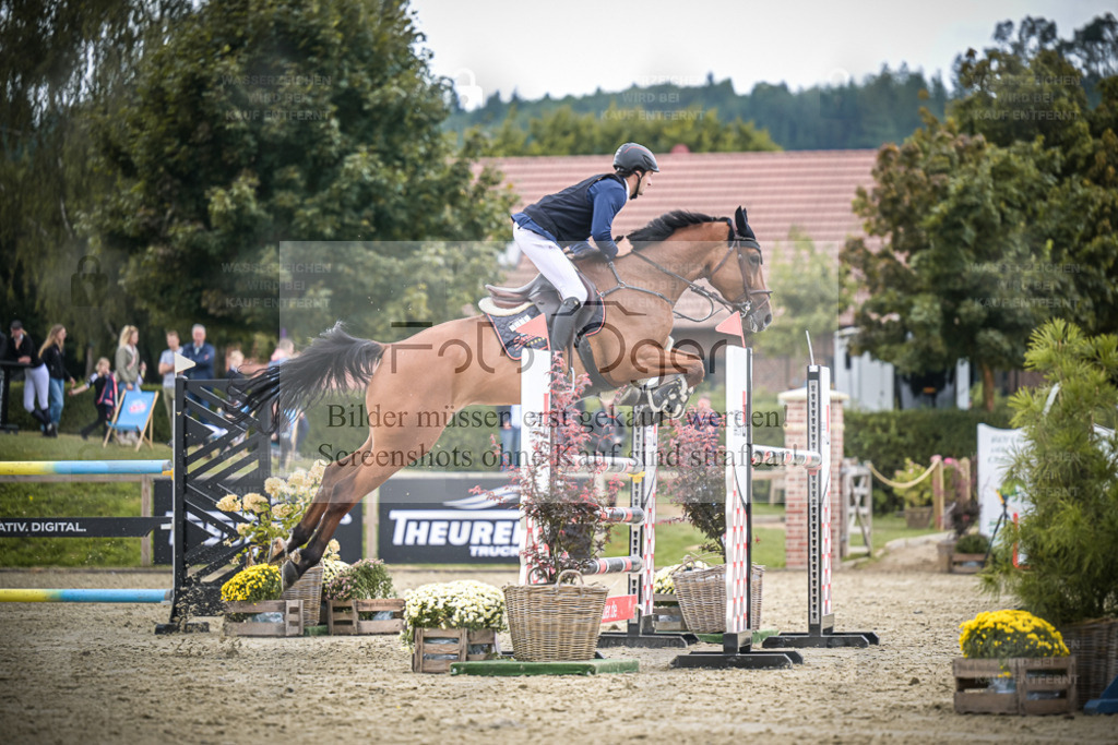 DOS_3351 | Entdecke hochwertige Reitturnierfotos von Foto Oger. Professionell, emotional und authentisch – jetzt Lieblingsmomente im Shop bestellen. - Realisiert mit Pictrs.com