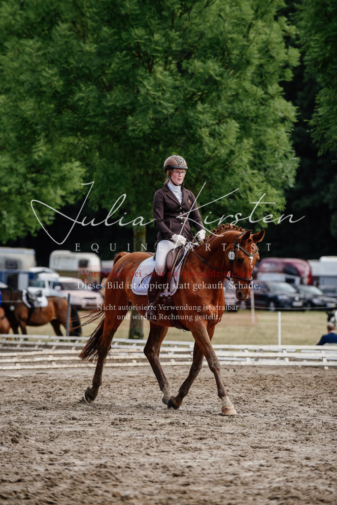 DSC_9674 | Pferde- und Turnierfotografie in Westsachsen. Pferdeportraits, Auftragszeichnungen und intuitive Kunst.