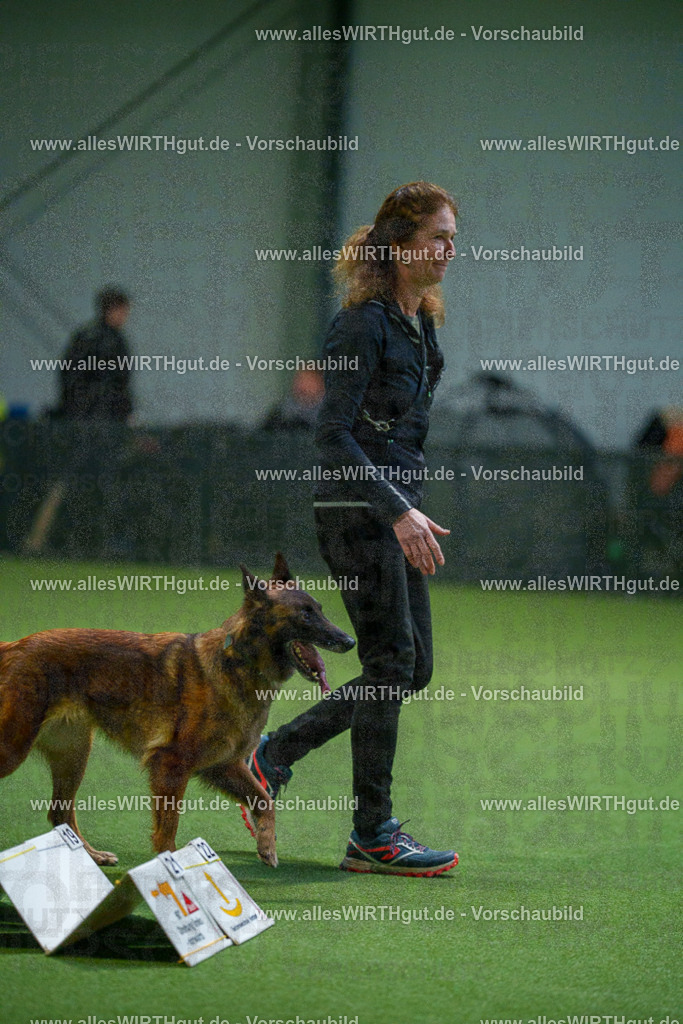 7R500953 | Professionelle Tierfotografie in Mönchengladbach von Daniel Wirth (allesWIRTHgut). Liebevolle & natürliche Bilder von Hunden & Katzen für unvergessliche Erinnerungen.