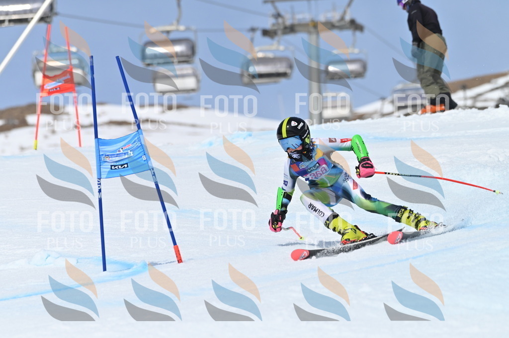 BGV_3997 | holidayphoto