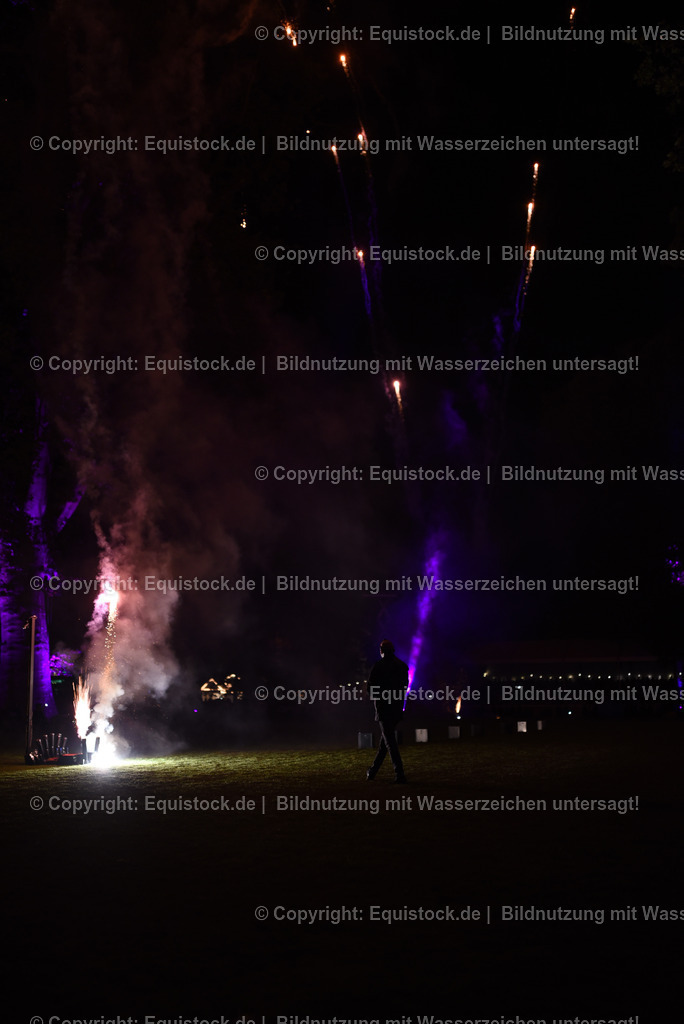 20230526_Pferdenacht_1604 | equistock
