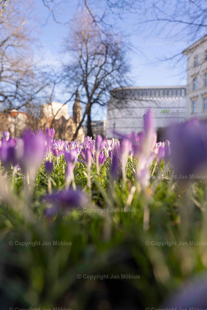 _DSC3461 | Leipzig Wandbilder Drucke Prints Leinwand Stadtmotive Leipzig Fotosdruck Kunstdrucke Bilder Leipzig Stadtansichten Acrylglasbilder Leipzig Wanddeko Fine Art Prints Wandbilder Büro Leipzig Bilder Praxis Zuhause Bilderdruck Poster Posterlounge Kunstdrucke - Realisiert mit Pictrs.com