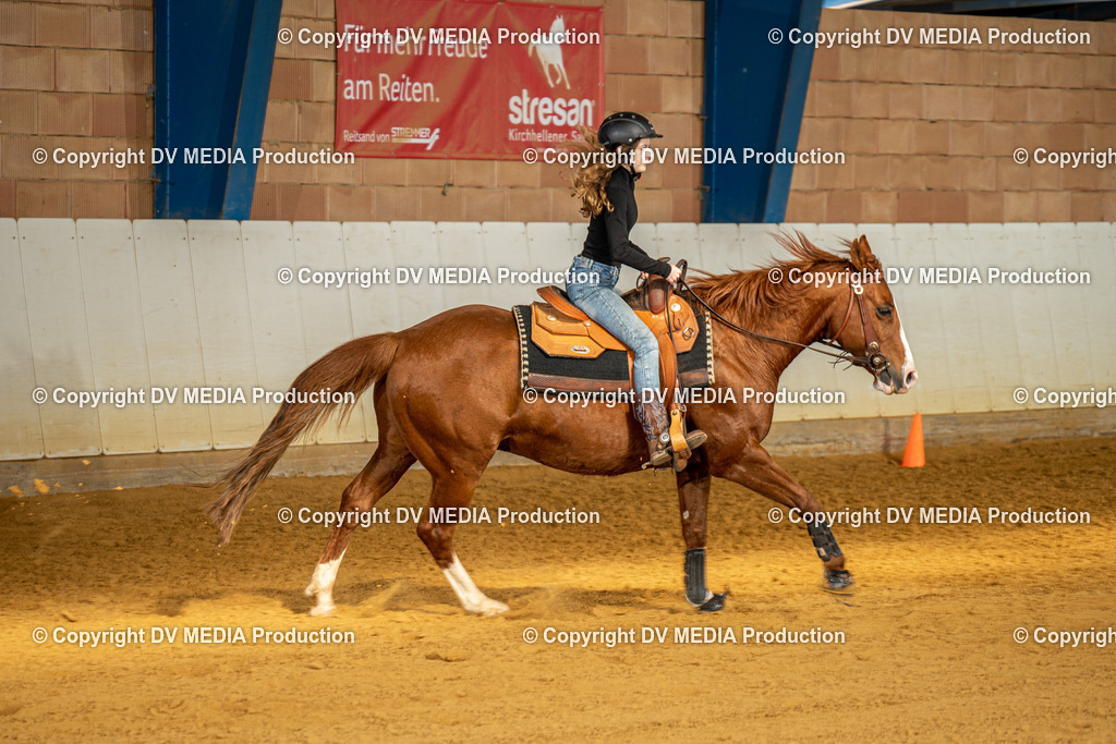 MIT00864 | dv-media-shop - Realisiert mit Pictrs.com