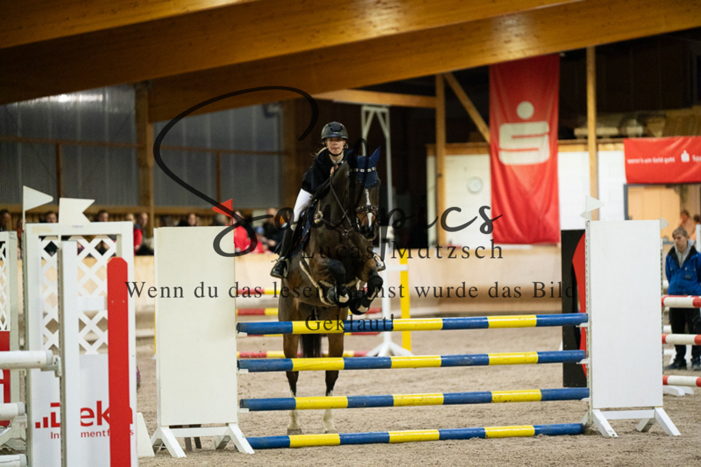 A7V03305 | Pferdefotograf