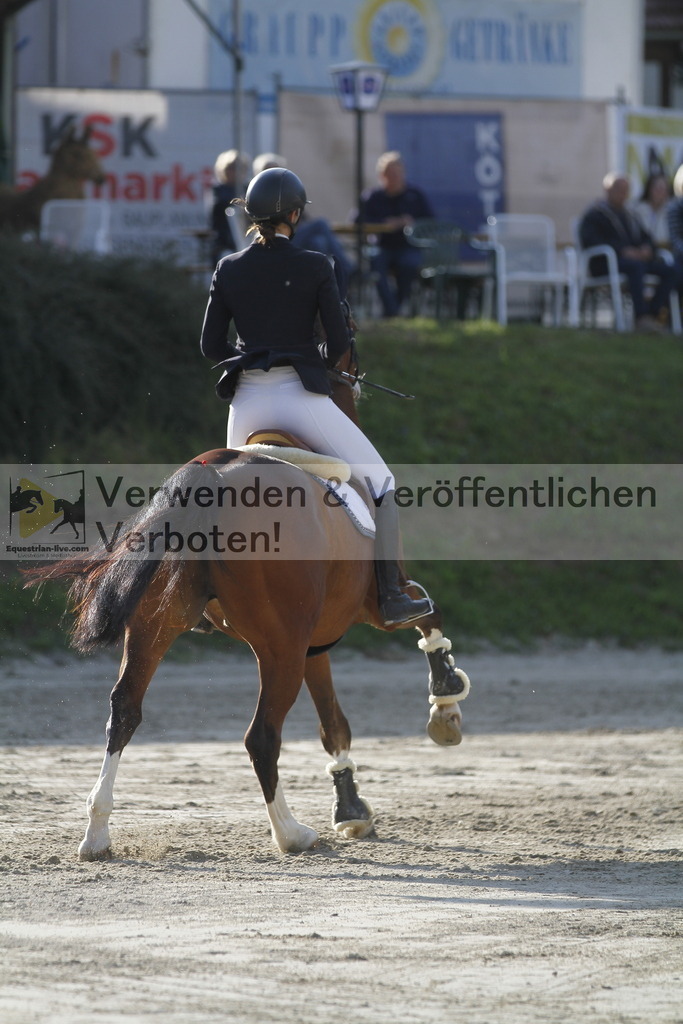 _MG_1573 | equestrian-live-com