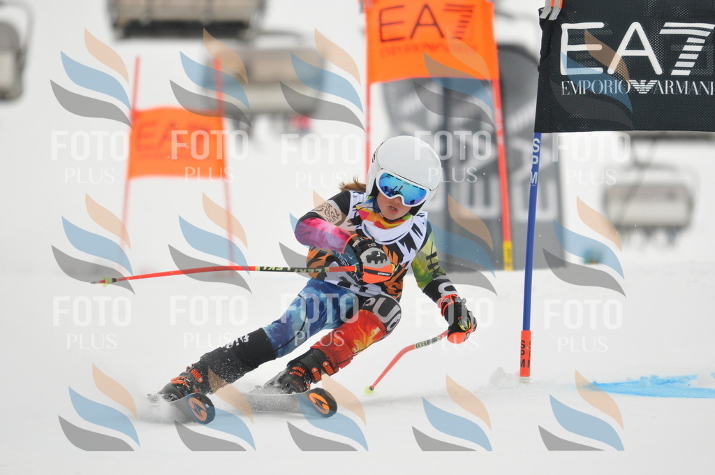 DSC_7496 | holidayphoto