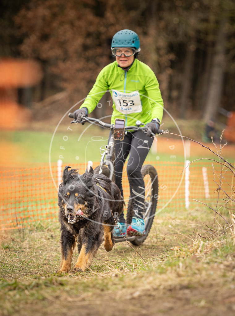 DV3A1647 | Hundefotografie, Tierfotograf, Pfotenfotografie, Fotoshooting Hund, Hunde Portrait, Hundesport, Hundeportraits, Heideshooting, Hunde, Sportfotograf, Hundefotograf, Turnierhundsport, THS,  - Realisiert mit Pictrs.com