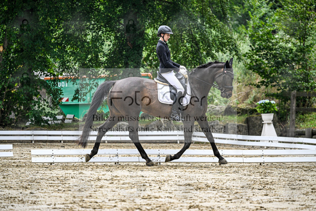 Bissendorfer Reitertage | Entdecke hochwertige Reitturnierfotos von Foto Oger. Professionell, emotional und authentisch – jetzt Lieblingsmomente im Shop bestellen. - Realisiert mit Pictrs.com