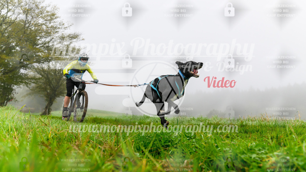 MompixPhotography_20TSB_E5_Bike-64 | PayLife